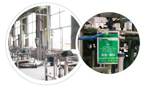 智能驅動，水務革新 重慶樹榮長壽區無人化新工廠正式投產